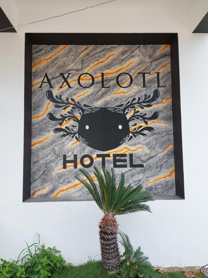 Hotel Axolotl Puerto Escondido  Εξωτερικό φωτογραφία