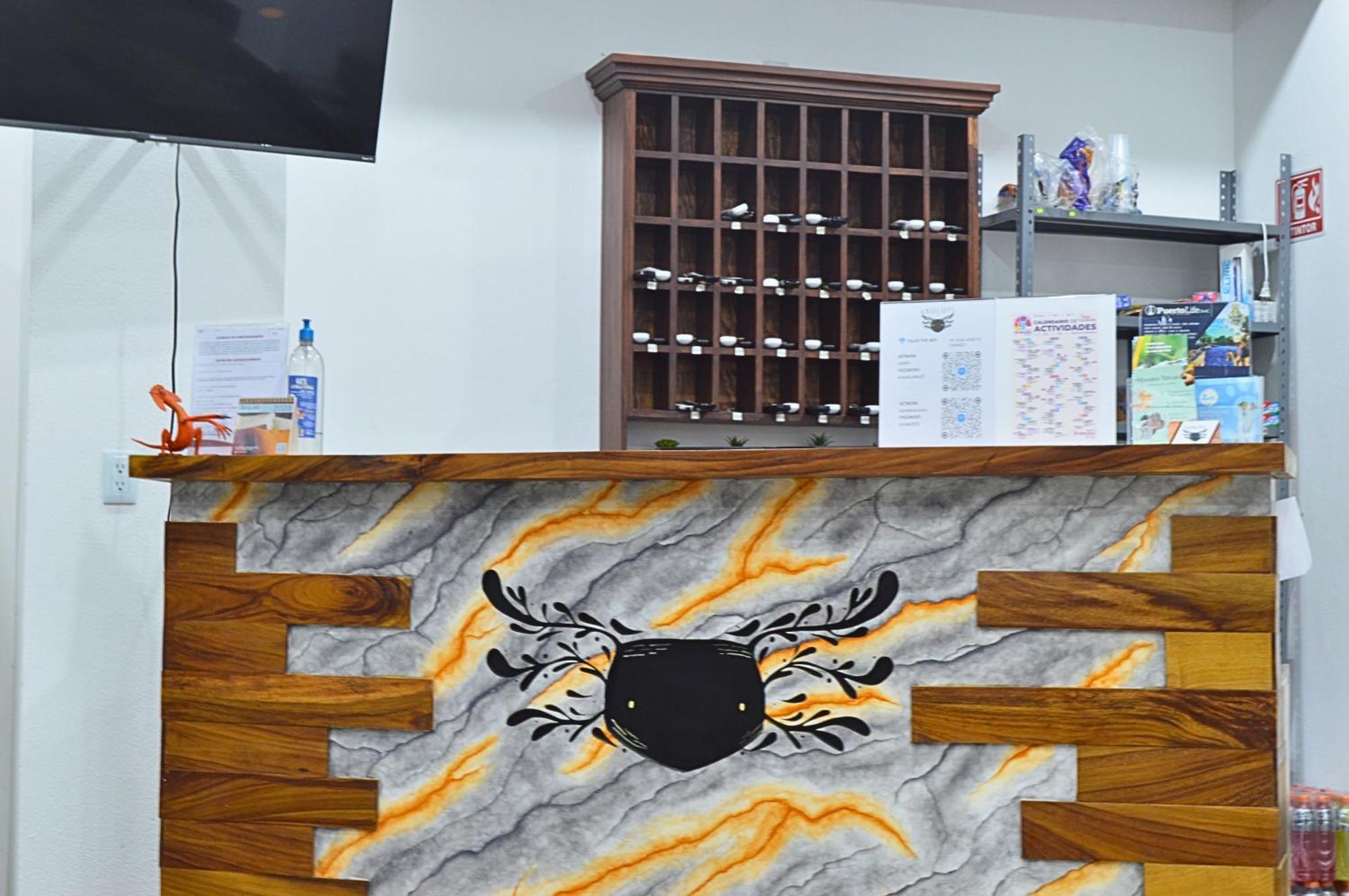 Hotel Axolotl Puerto Escondido  Εξωτερικό φωτογραφία